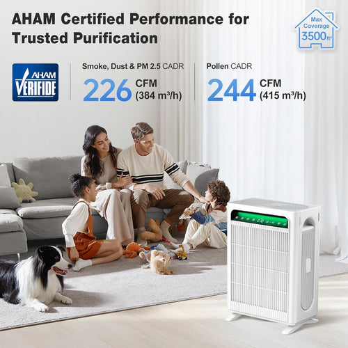 Air Purifier for Large Room